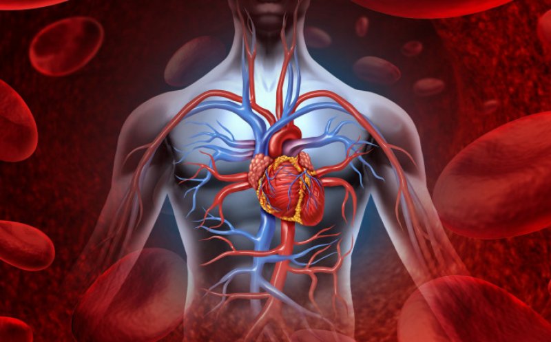 Primul transplant parţial de inimă din lume, un succes la început de an