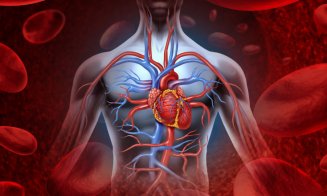 Primul transplant parţial de inimă din lume, un succes la început de an
