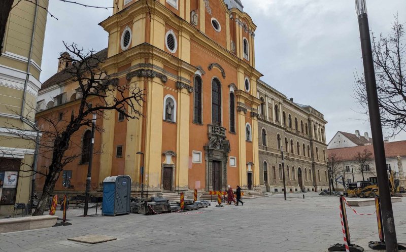 A dispărut teiul din fața Bisericii Piariștilor, de pe strada Universității. Activiștii de mediu critică decizia