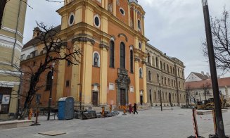 A dispărut teiul din fața Bisericii Piariștilor, de pe strada Universității. Activiștii de mediu critică decizia