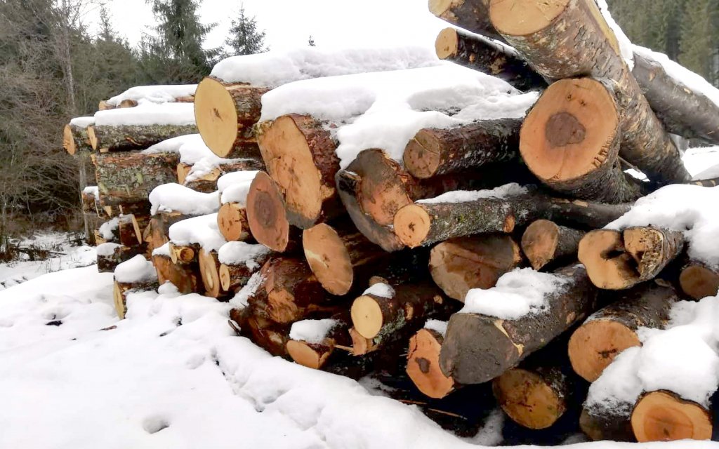Lemn confiscat la Gilău şi amendă de 10.000 de lei