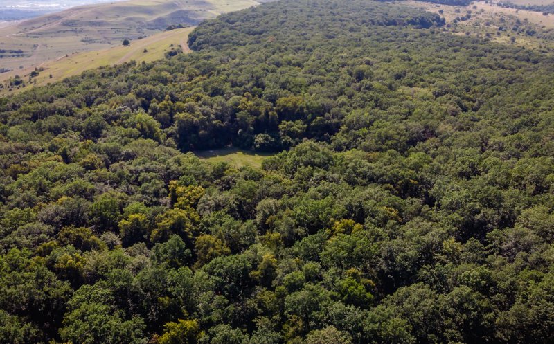 Dezbatere publică pe bugetul Clujului 2024, până la 10 seara! Între propuneri:  inel verde metropolitan, protejarea biodiversității din zona Hoia - Cheile Baciu, grădini comunitare