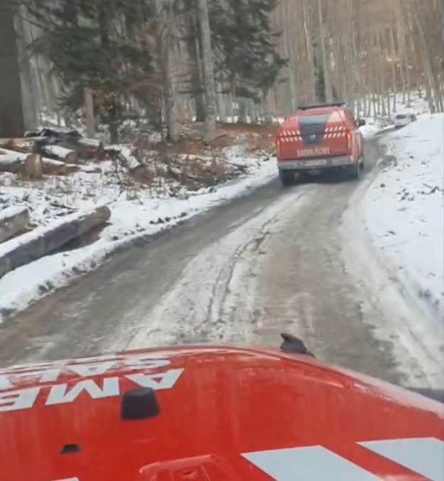 Mobilizare uriașă pentru găsirea unei fete de 16 ani, dată dispărută pe munte. A reușit să supraviețuiască o noapte în pădure