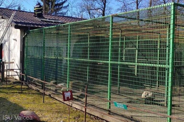 Incendiu la o grădină zoologică. Animalele au fost evacuate
