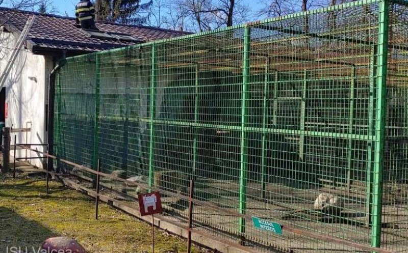 Incendiu la o grădină zoologică. Animalele au fost evacuate