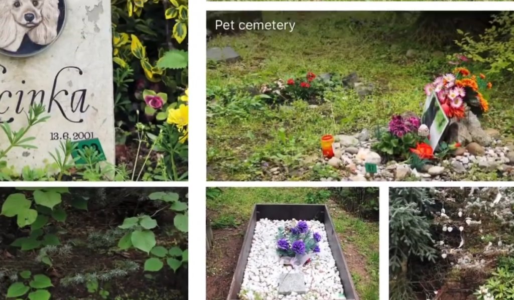 Cimitir special pentru animale de companie la Cluj. Boc: „Trebuie să le prețuim”