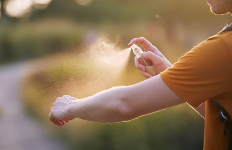 Cum se transmite malaria, boala care a ucis-o pe Camelia Tișe