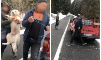 Trei bărbați, filmați în timp ce abandonau câini pe un drum din Cluj