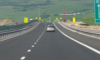 Au început defrișările pe cel mai dificil lot de autostradă din România. Peste 25.000 de copaci vor fi tăiați