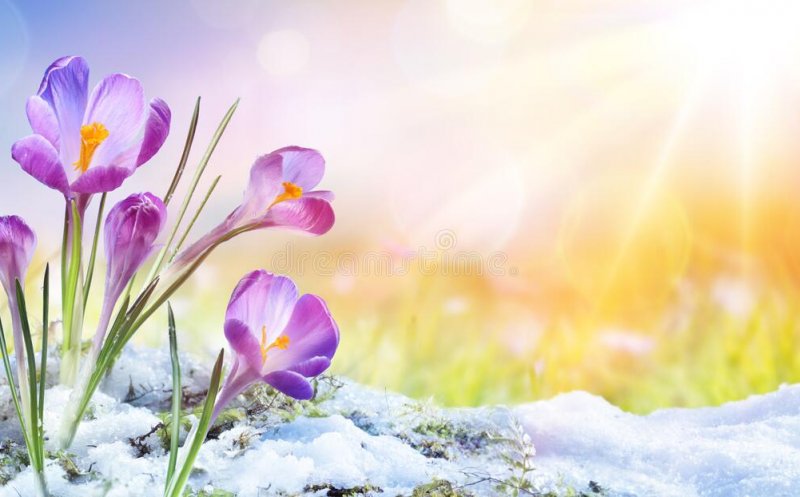 Gata iarna? Prognoza meteo pe următoarele patru săptămâni