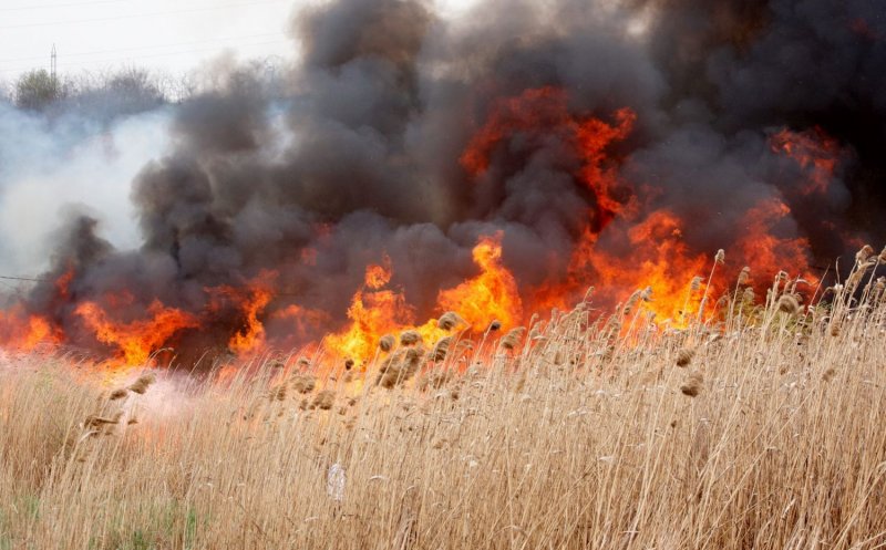 INCENDIU de vegetație într-o comună din judeţul Cluj / Arderea miriştilor şi a resturilor vegetale este INTERZISĂ