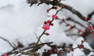 Iarna nu se lasă încă dusă! Meteorologii anunță zile cu frig, lapoviță și ninsori