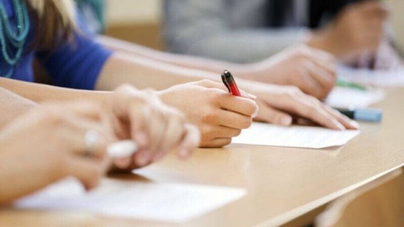 Se revine la vechea formulă cu teze și semestre? Ce spune Ligia Deca