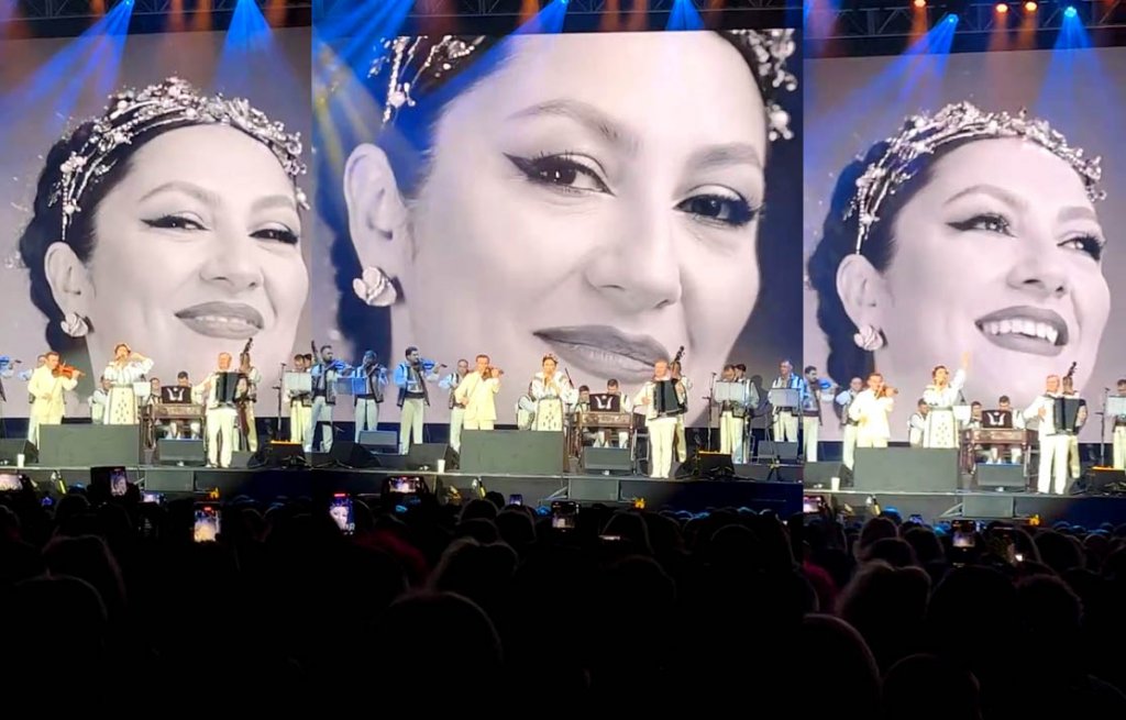 Mii de români, la concertul Andrei de pe Wembley Arena, în Londra: "Felicitări, ANDRA, pentru că ne-ai unit inimile"
