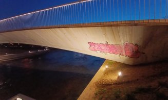 Lucrările de la Malul Someşului abia terminate, deja VANDALIZATE