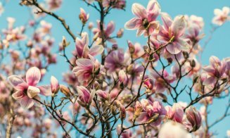 Vremea în aprilie 2024: Temperaturi mai ridicate în prima jumătate a lunii
