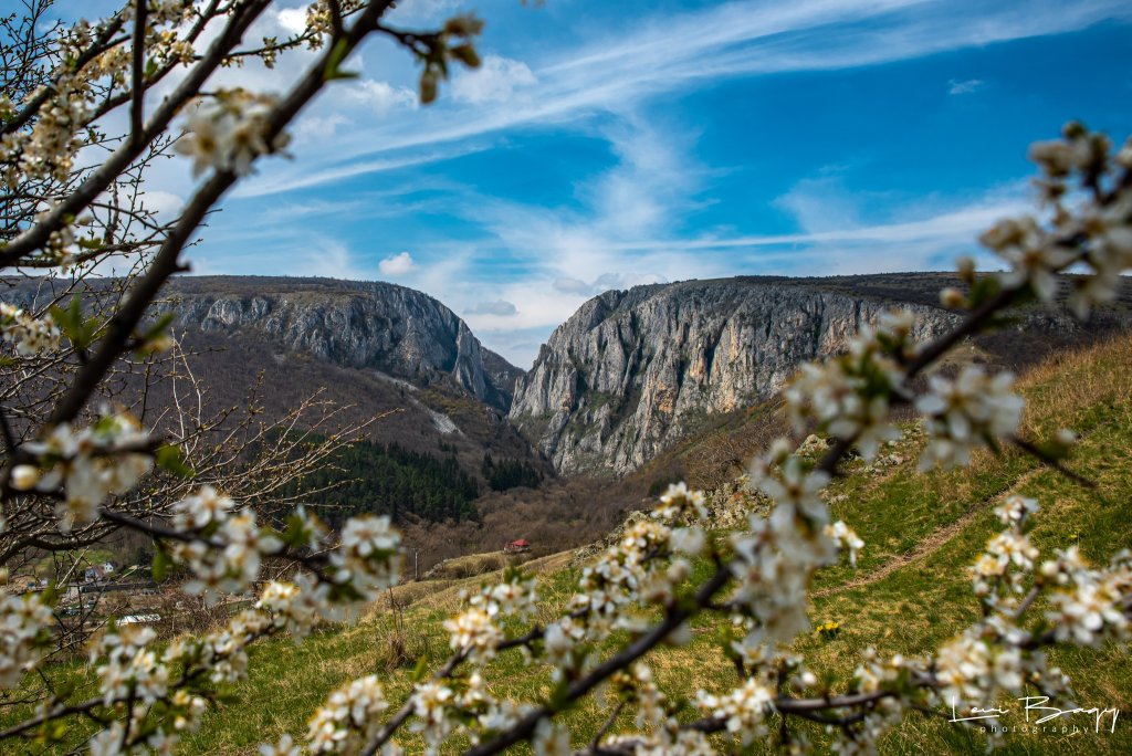 A venit primăvara în Cheile Turzii. Imaginile sunt SUPERBE