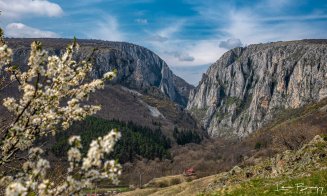 A venit primăvara în Cheile Turzii. Imaginile sunt SUPERBE