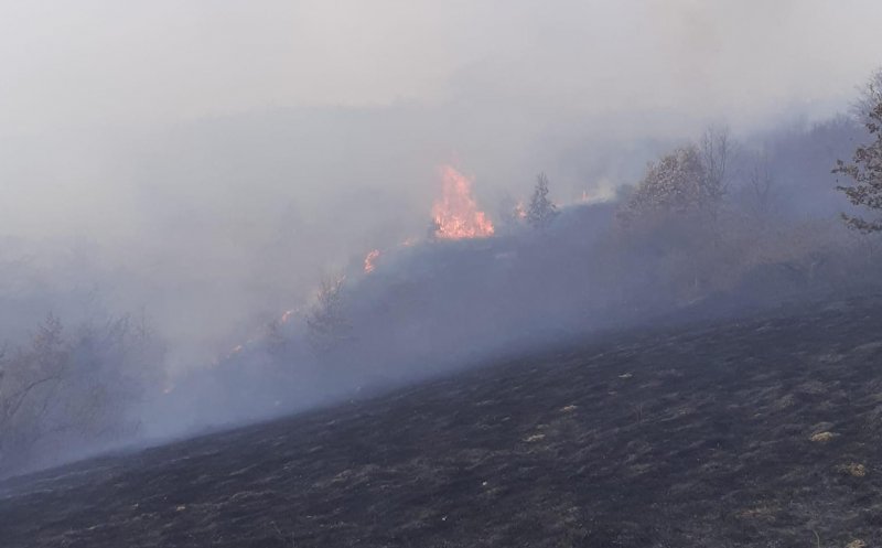 Incendiu de vegetație într-o comună din Cluj. Pompierii luptă să stingă flăcările