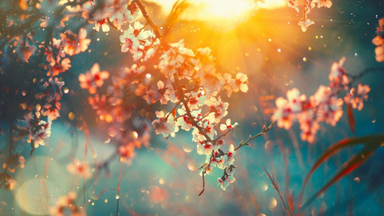 Prognoza pe  următoarele săptămâni. Cum va fi vremea în Transilvania/Temperaturi de peste 20 grade, la final de săptămână