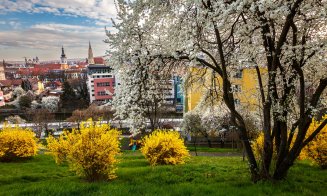 Primăvara își face simțită prezența în Cluj-Napoca