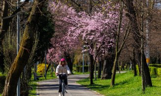 Primăvara își face simțită prezența în Cluj-Napoca