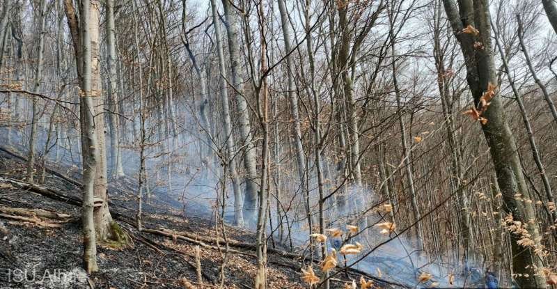 Incendiu masiv de vegetaţie în două comune din Apuseni. Pompierii din Alba au intervenit