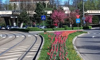 Telefonul într-o mână, ţigara în cealaltă. Frână, accelerație, frână, accelerație... Balans periculos într-un tramvai din Cluj-Napoca