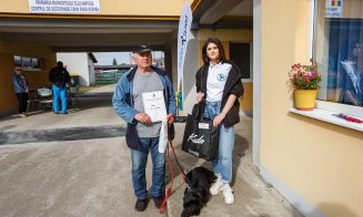 De ce acte ai nevoie pentru a adopta un cățel fără stăpân la Cluj-Napoca