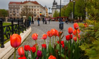 Primăvara își face simițită prezența la Cluj-Napoca