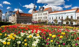 Primăvara își face simițită prezența la Cluj-Napoca