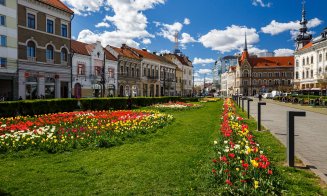 Primăvara își face simițită prezența la Cluj-Napoca
