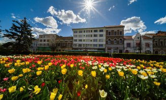 Primăvara își face simițită prezența la Cluj-Napoca