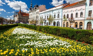 Primăvara își face simițită prezența la Cluj-Napoca