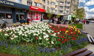 Primăvara își face simițită prezența la Cluj-Napoca
