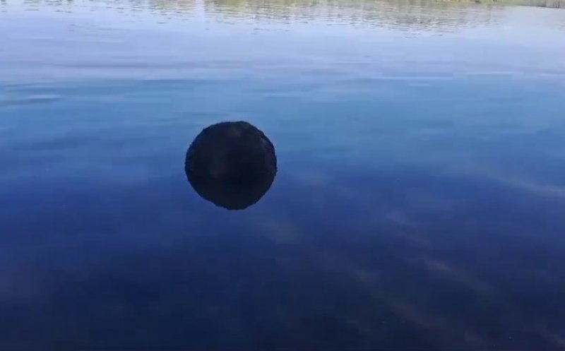 O mină marină a fost descoperită în Delta Dunării. Armata a trimis scafandri în zonă ca să o distrugă