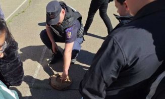Ireal. Un copil s-a dus la școală cu un stabilizator de bombă