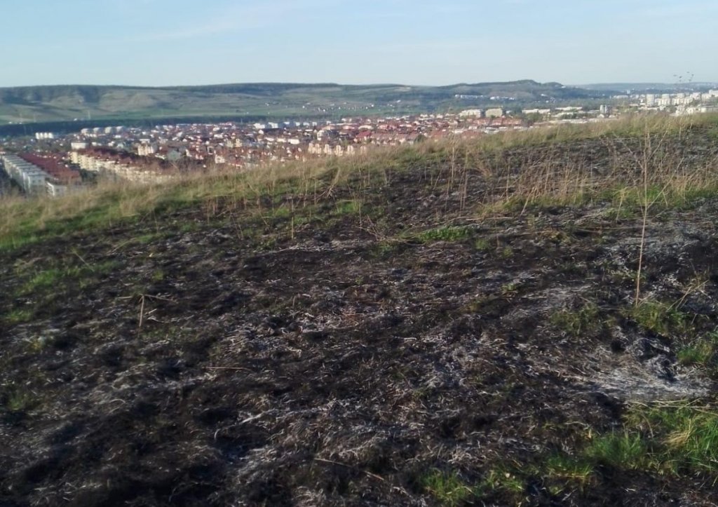 Arderea ilegală a vegetației continuă și în Florești. Pompierii au intervenit la timp