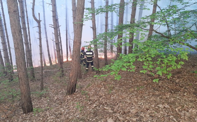 Încă ARDE pădurea de lângă drumul Sfântul Ioan! Pompierii clujeni au intervenit în forță