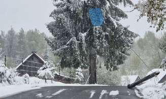 Cluj: Iarnă surprinzătoare în aprilie! Ninge ca-n povești la munte / "Ați băgat în dulap săniuțele și schiurile?"