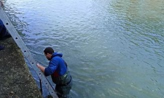 Scurgeri de hidrocarburi petroliere pe râul Someș, în zona Podului Garibaldi. Anchetă pentru identificarea sursei poluării