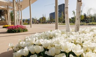 Primăvară minunată la Cluj-Napoca