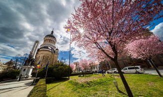 Primăvară minunată la Cluj-Napoca