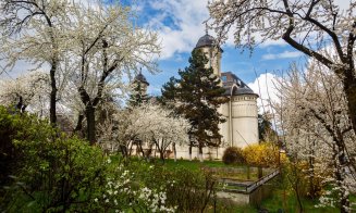 Primăvară minunată la Cluj-Napoca