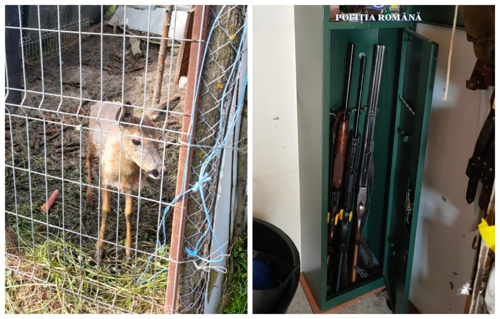 Arme letale confiscate într-o razie a Poliției Cluj. Cine erau deținătorii