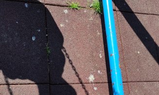 Supărare în Mănăştur: Rahat de porumbei peste tot în spaţiile de joacă pentru copii / "Dar nu este interzis să hrănești porumbeii pe spațiul publ