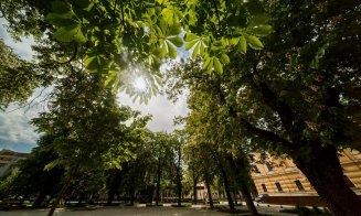 Cluj-Napoca: Parada castanilor înfloriți în Piața Ștefan Cel Mare