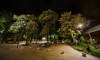 Cluj-Napoca: Parada castanilor înfloriți în Piața Ștefan Cel Mare
