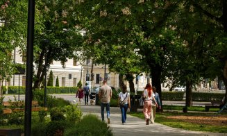 Cluj-Napoca: Parada castanilor înfloriți în Piața Ștefan Cel Mare