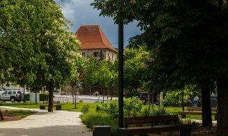 Cluj-Napoca: Parada castanilor înfloriți în Piața Ștefan Cel Mare